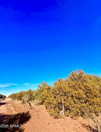 $45,000 | 3314 Vernon Az 85940, Show Low, AZ 85901