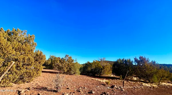 $45,000 | 3314 Vernon Az 85940, Show Low, AZ 85901