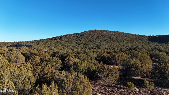 $45,000 | 3314 Vernon Az 85940, Show Low, AZ 85901