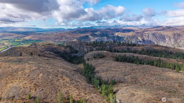 a view of a backyard with green space