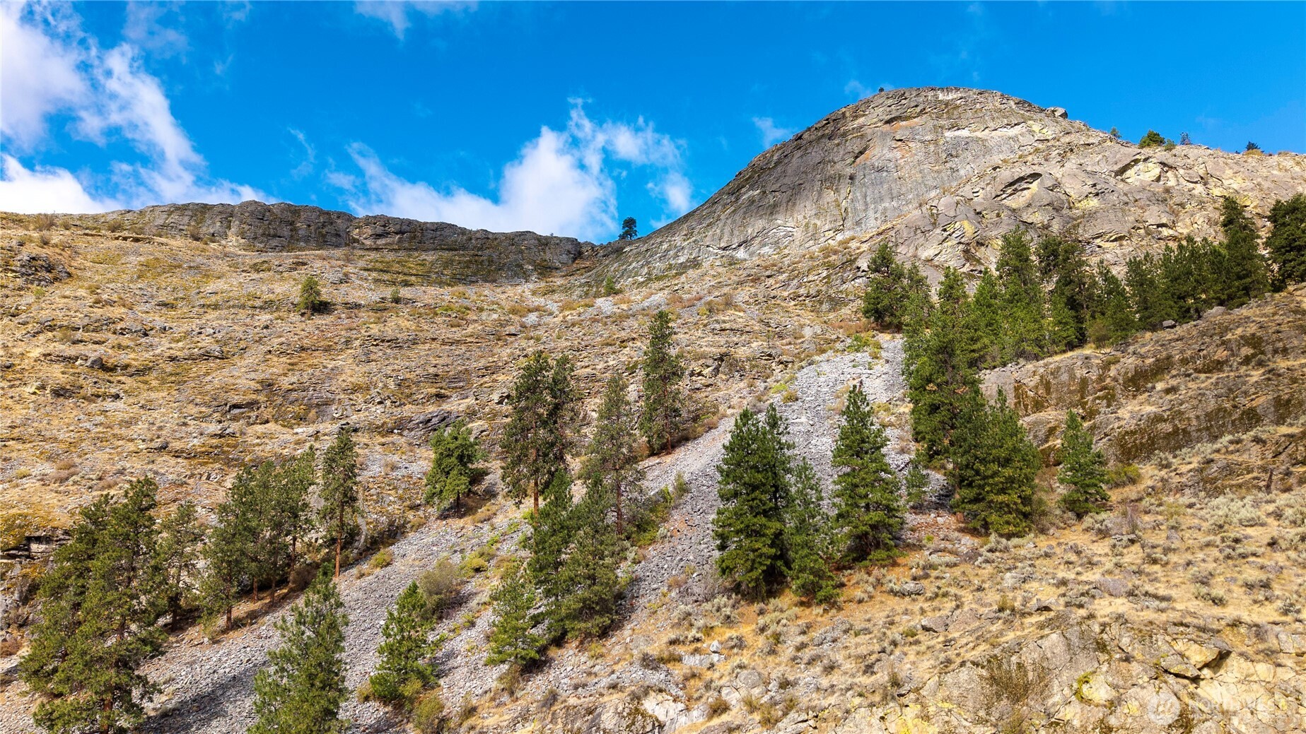 0 Tbd Pharr Out - 9 Way Riverside, WA 98849 - Photo 5 of 8 a view of a dry yard with wooden fence