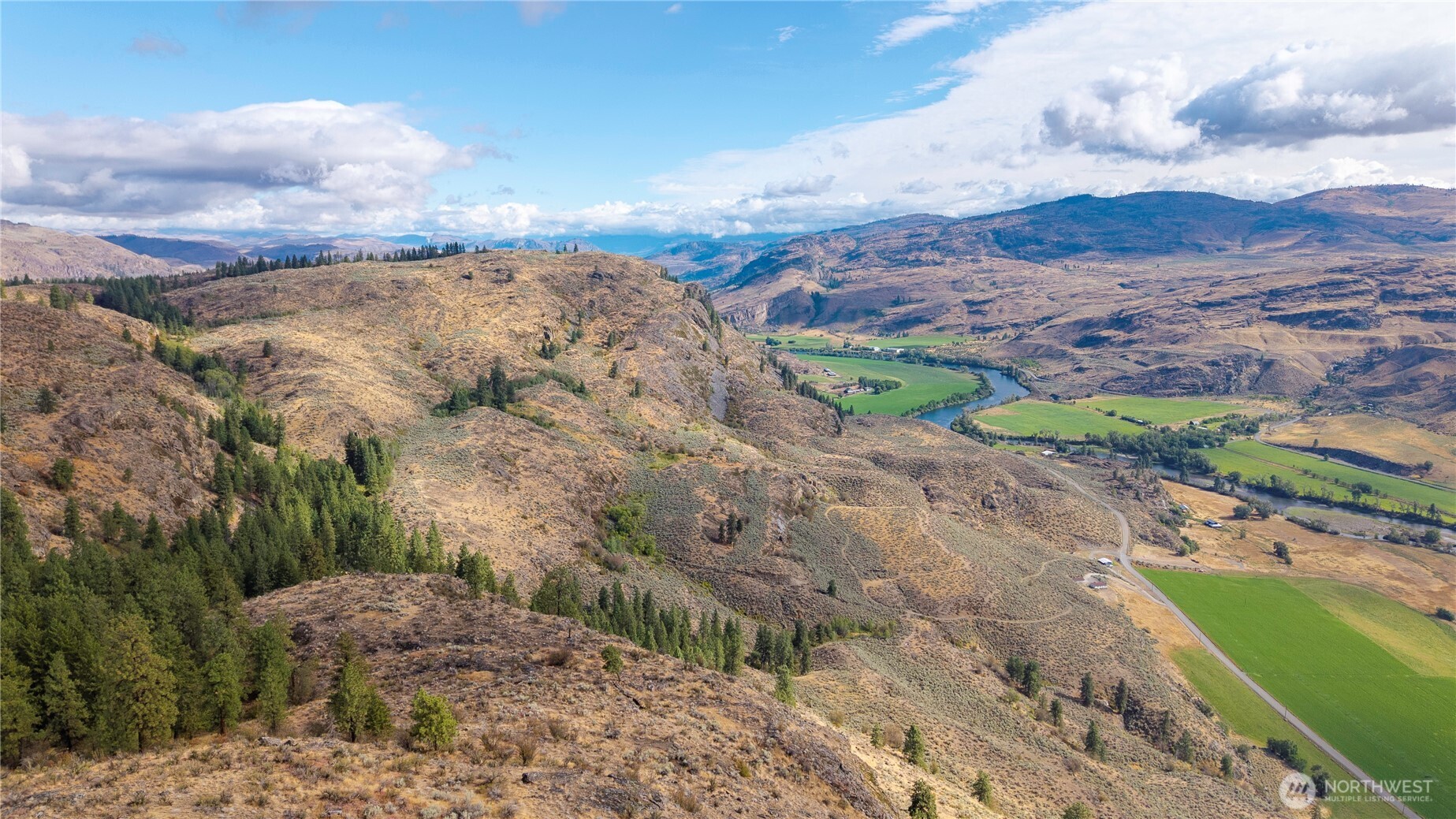 0 Tbd Pharr Out - 9 Way Riverside, WA 98849 - Photo 6 of 8 a view of a yard with mountain