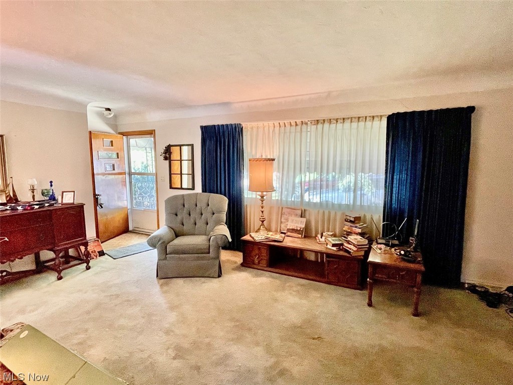 10029 Webster Road Strongsville, OH 44136 - Photo 6 of 10 View of carpeted living room