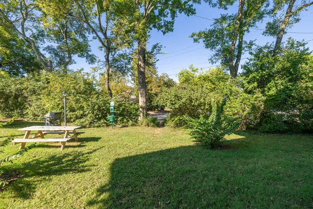 a view of yard with green space