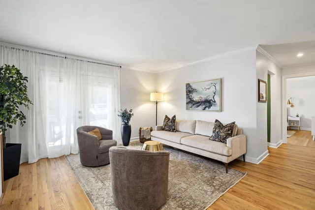 a living room with furniture and a potted plant