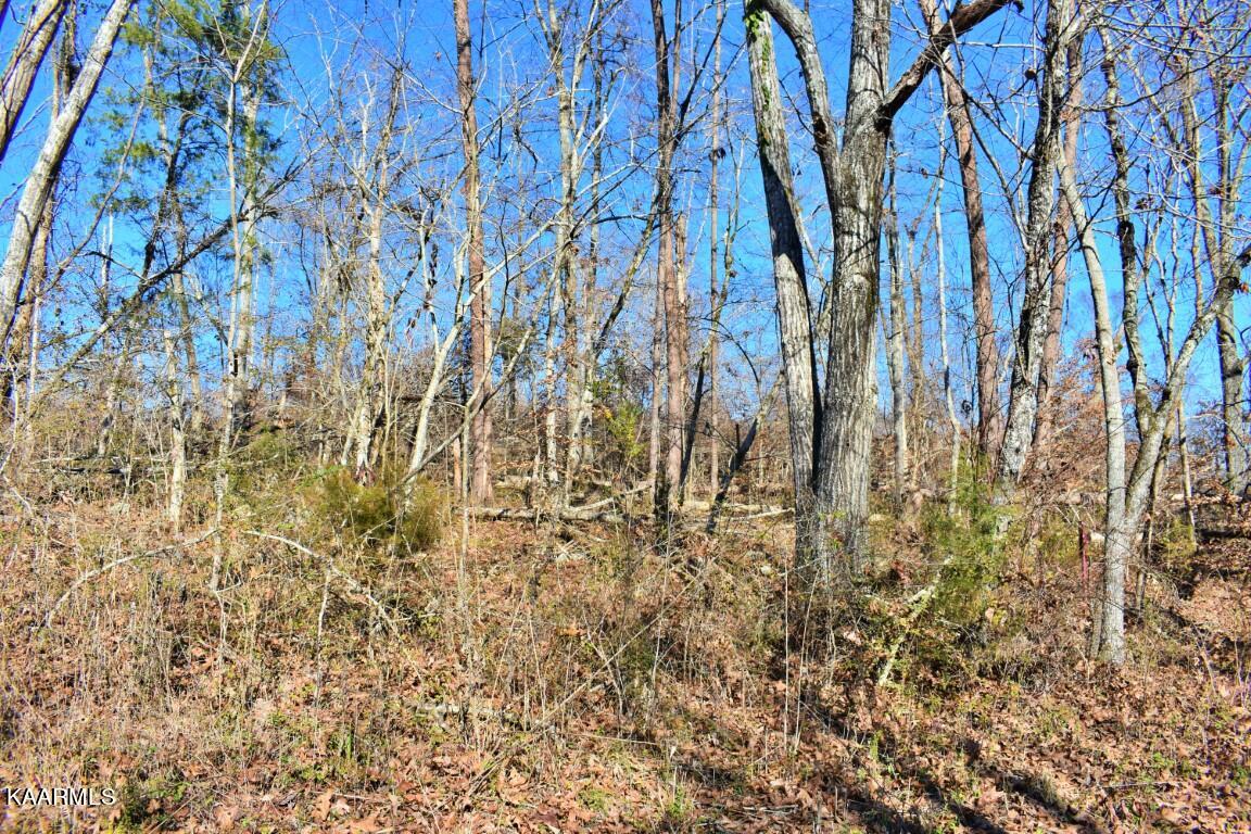 1-4 Ewing Road Spring City, TN 37381 - Photo 11 of 26 11