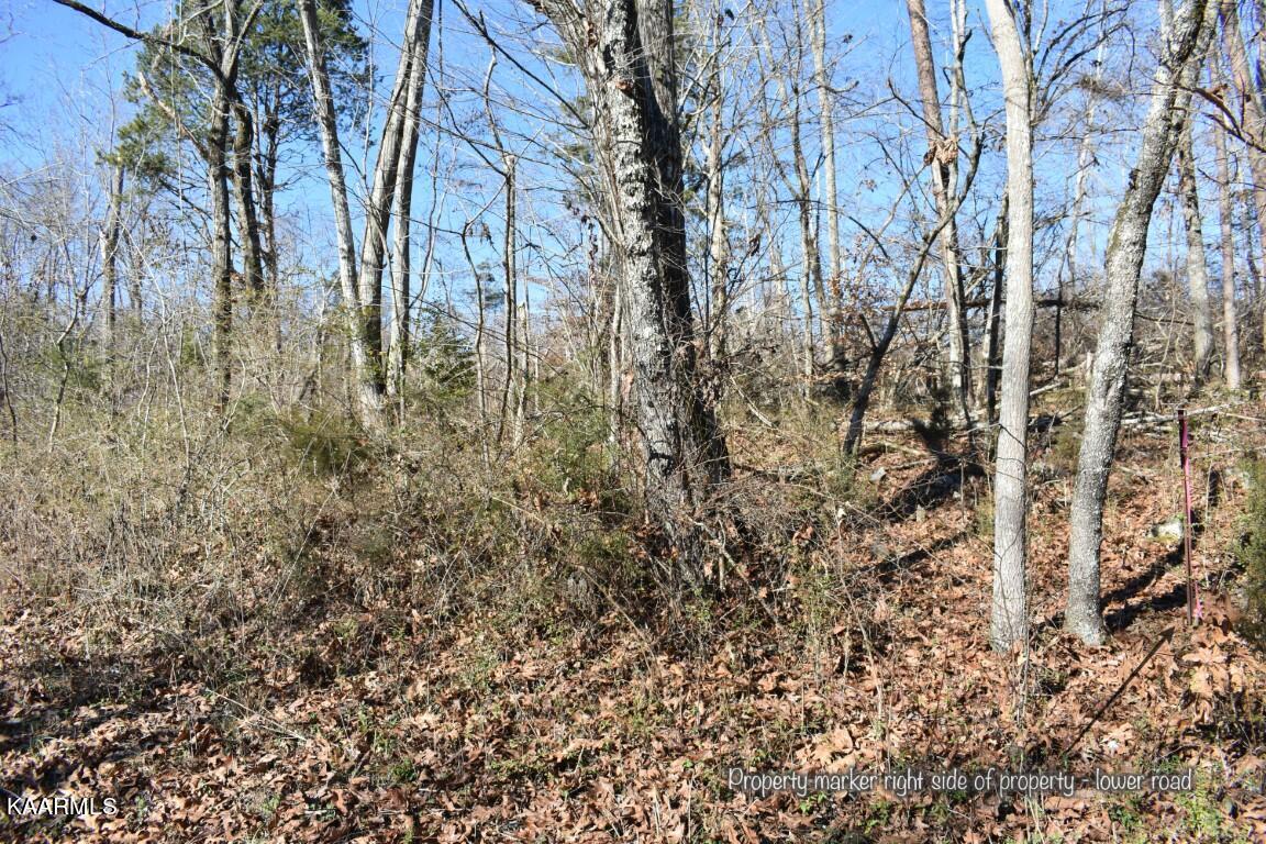 1-4 Ewing Road Spring City, TN 37381 - Photo 12 of 26 12