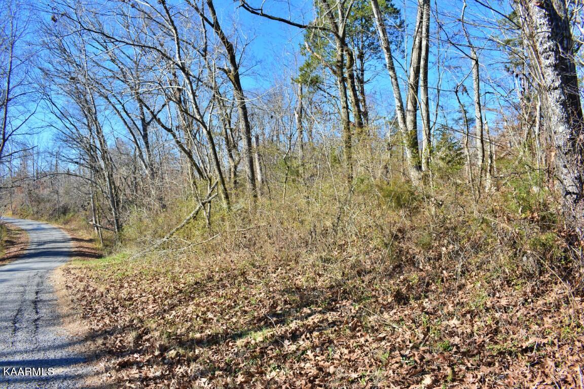 1-4 Ewing Road Spring City, TN 37381 - Photo 13 of 26 13
