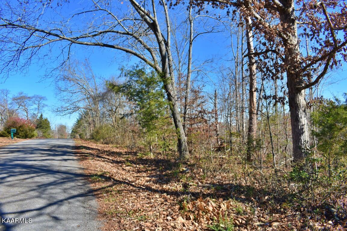 1-4 Ewing Road Spring City, TN 37381 - Photo 15 of 26 15