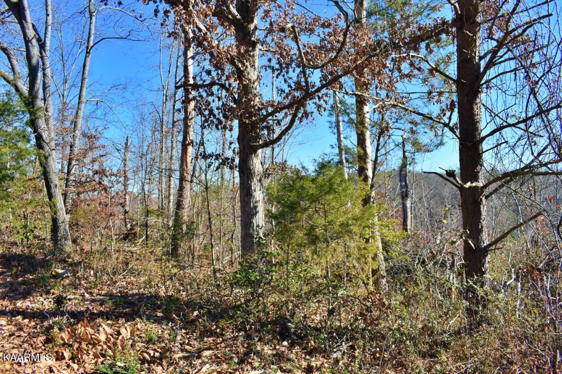 1-4 Ewing Road Spring City, TN 37381 - Photo 16 of 26 16