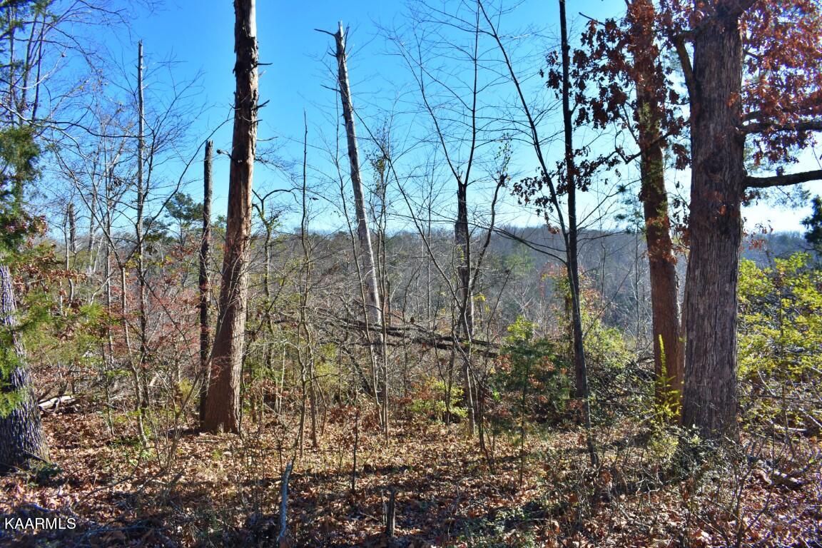 1-4 Ewing Road Spring City, TN 37381 - Photo 17 of 26 17