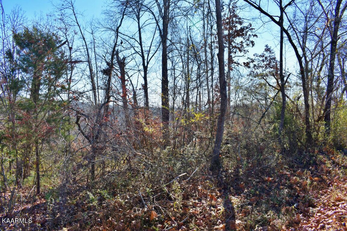 1-4 Ewing Road Spring City, TN 37381 - Photo 18 of 26 18