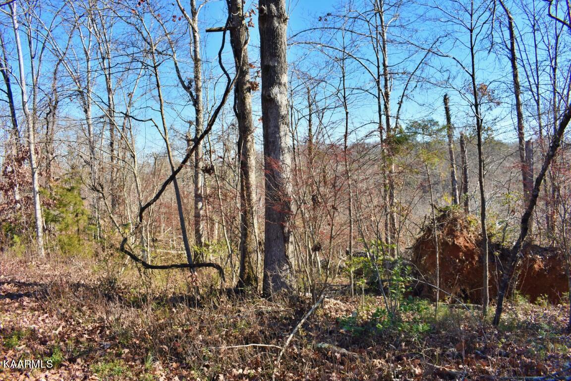 1-4 Ewing Road Spring City, TN 37381 - Photo 19 of 26 19