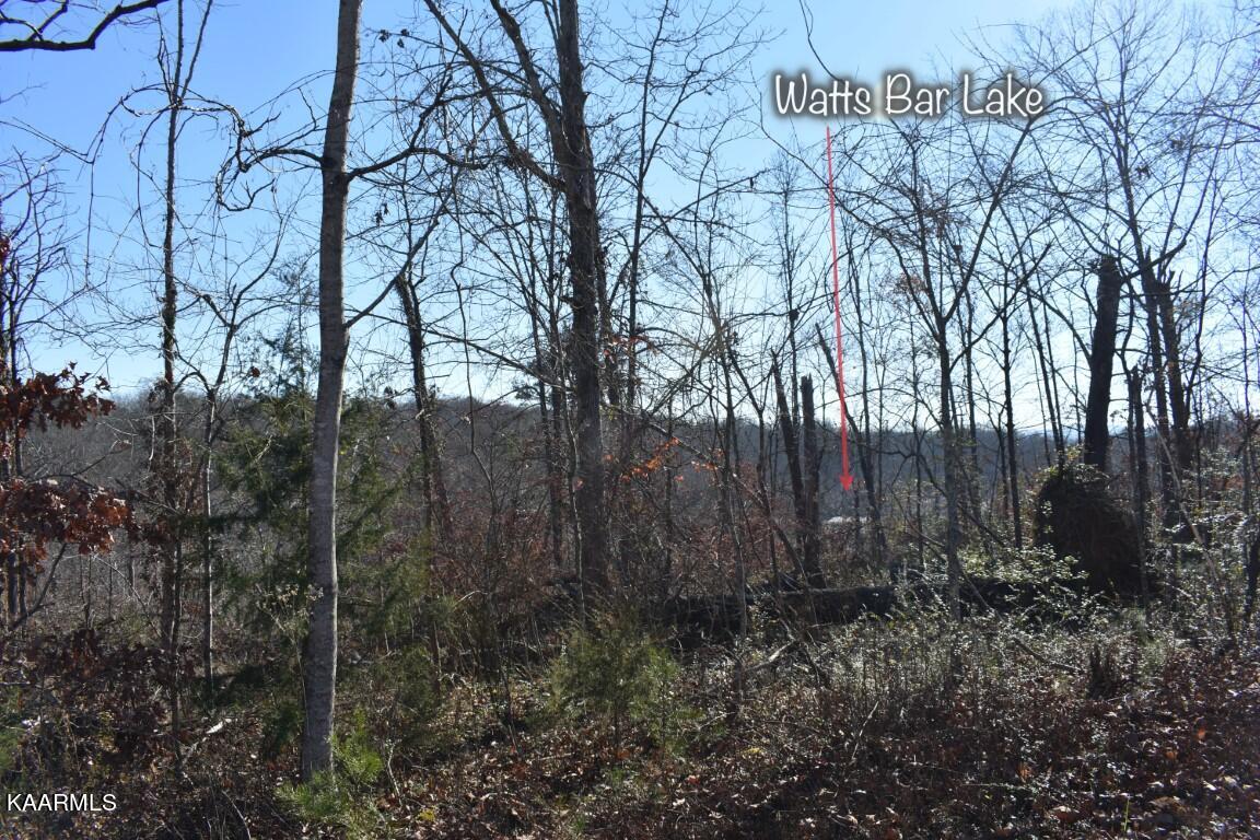 1-4 Ewing Road Spring City, TN 37381 - Photo 20 of 26 20