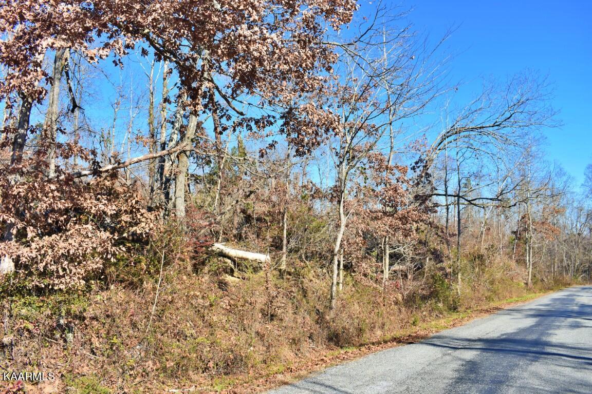 1-4 Ewing Road Spring City, TN 37381 - Photo 3 of 26 3