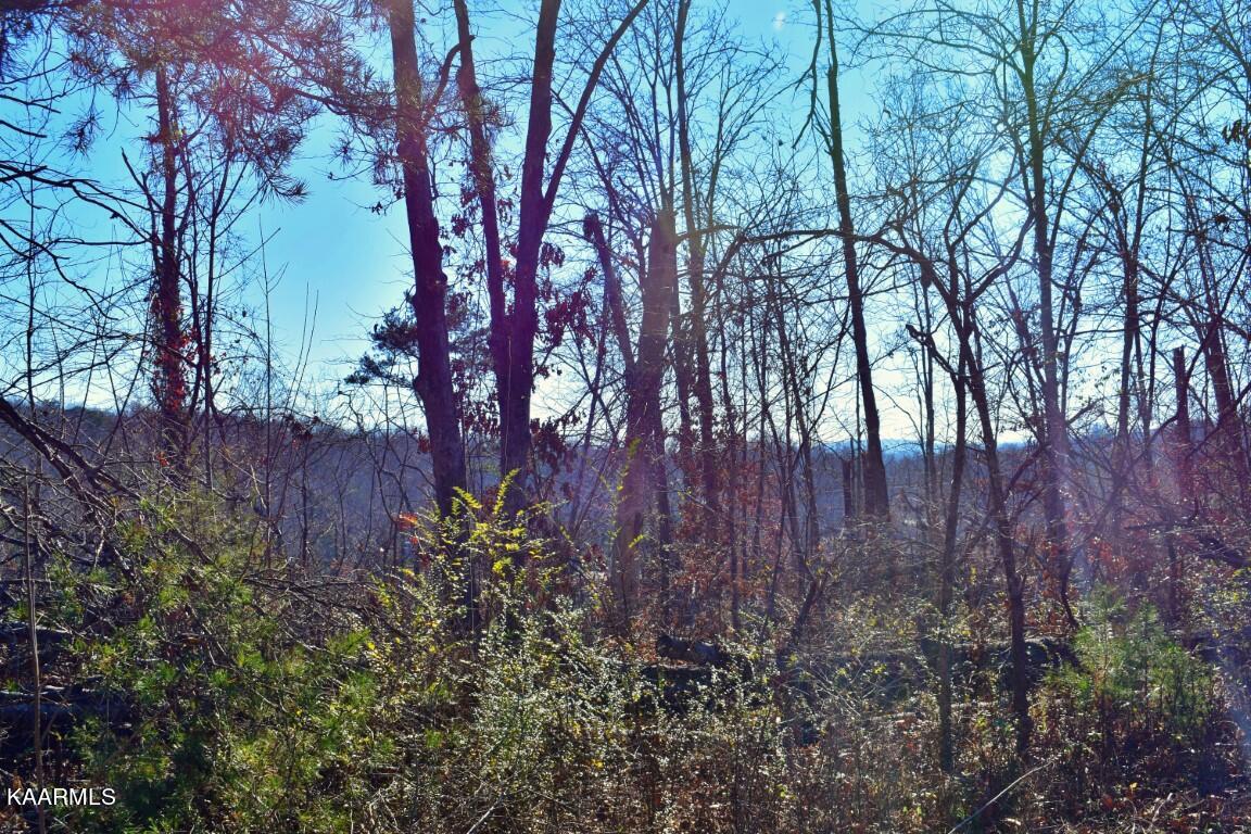 1-4 Ewing Road Spring City, TN 37381 - Photo 21 of 26 21