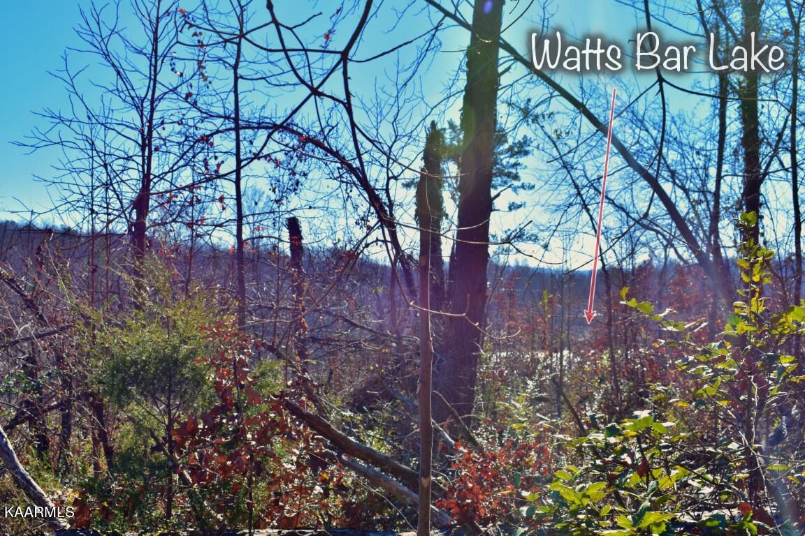 1-4 Ewing Road Spring City, TN 37381 - Photo 22 of 26 22