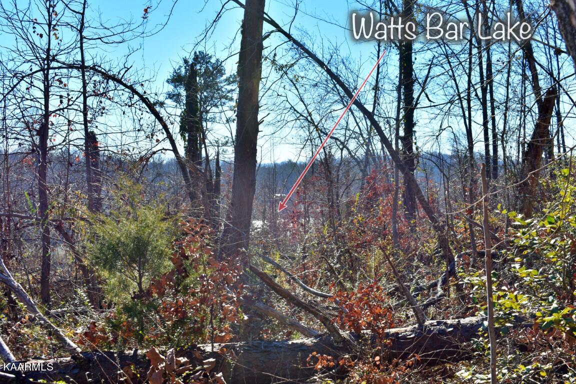 1-4 Ewing Road Spring City, TN 37381 - Photo 23 of 26 23