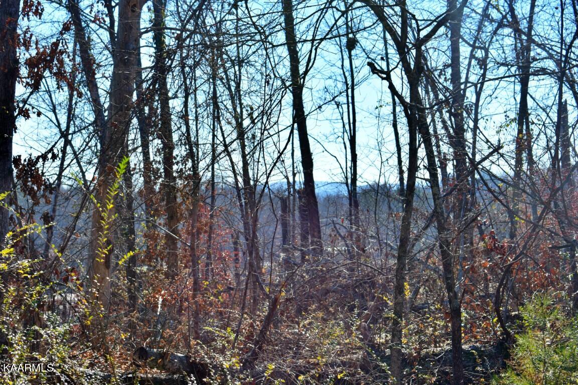1-4 Ewing Road Spring City, TN 37381 - Photo 24 of 26 24