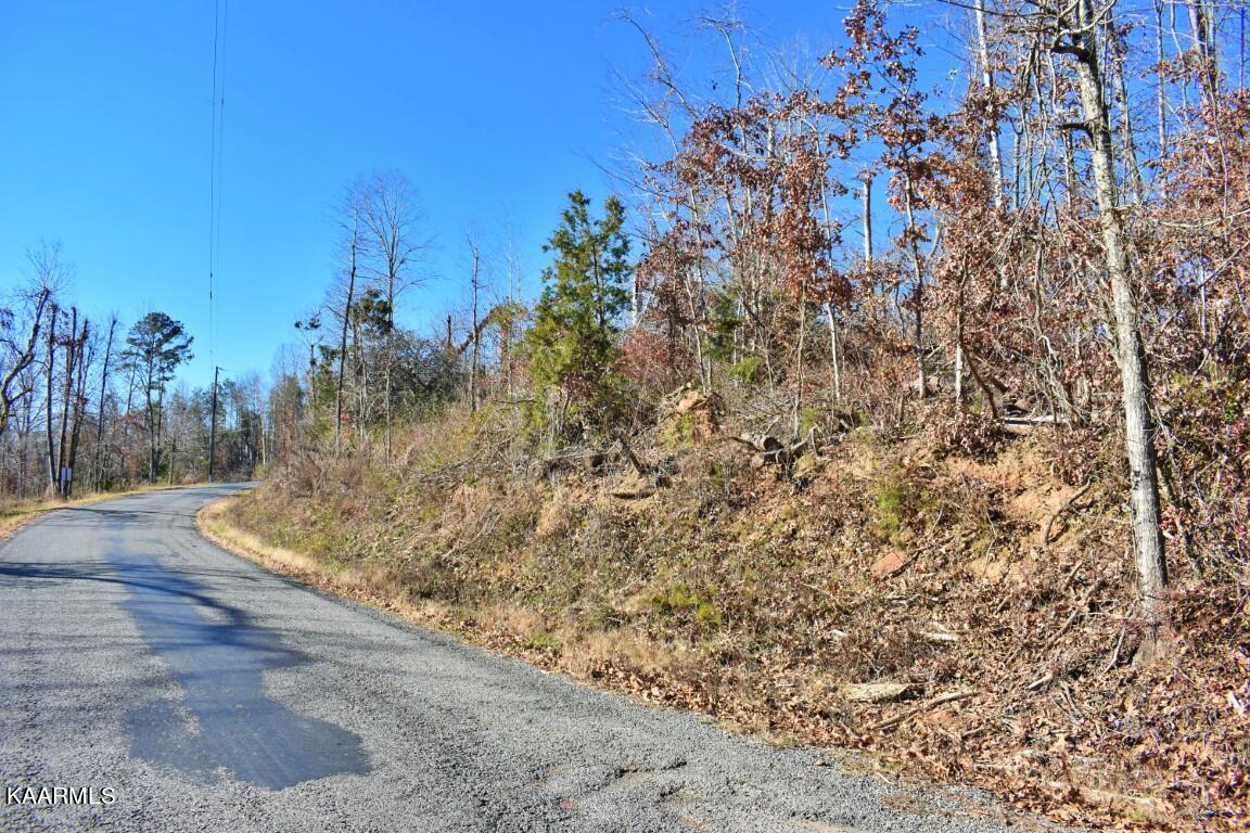 1-4 Ewing Road Spring City, TN 37381 - Photo 4 of 26 4