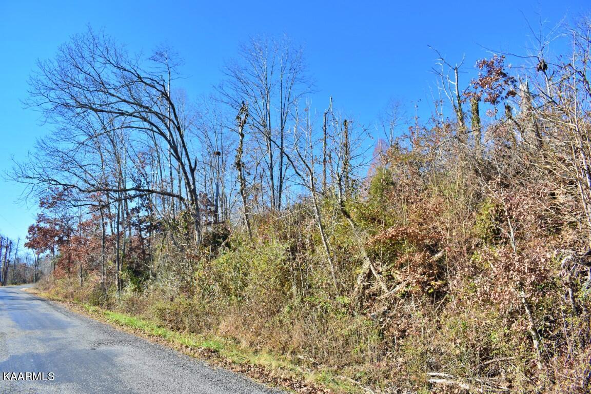 1-4 Ewing Road Spring City, TN 37381 - Photo 5 of 26 5