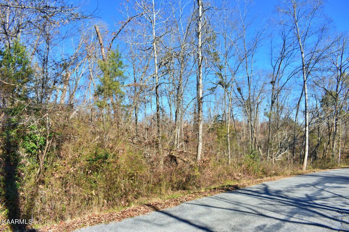 1-4 Ewing Road Spring City, TN 37381 - Photo 6 of 26 6