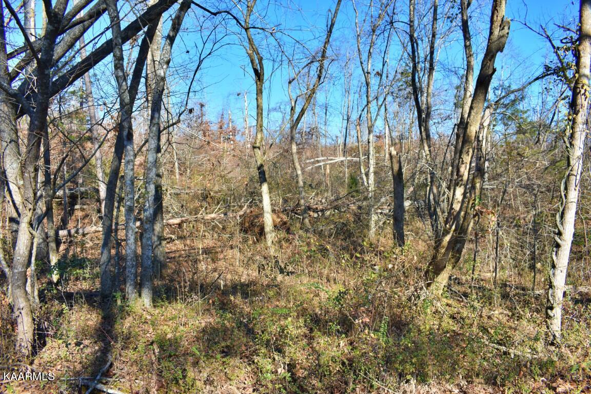 1-4 Ewing Road Spring City, TN 37381 - Photo 7 of 26 7