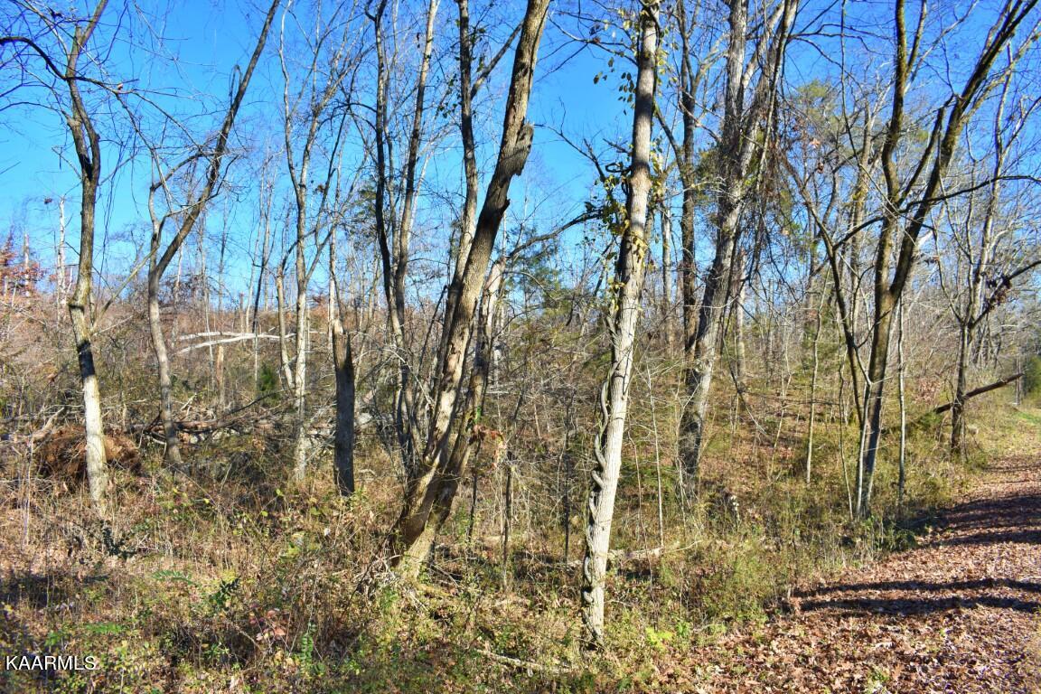 1-4 Ewing Road Spring City, TN 37381 - Photo 8 of 26 8