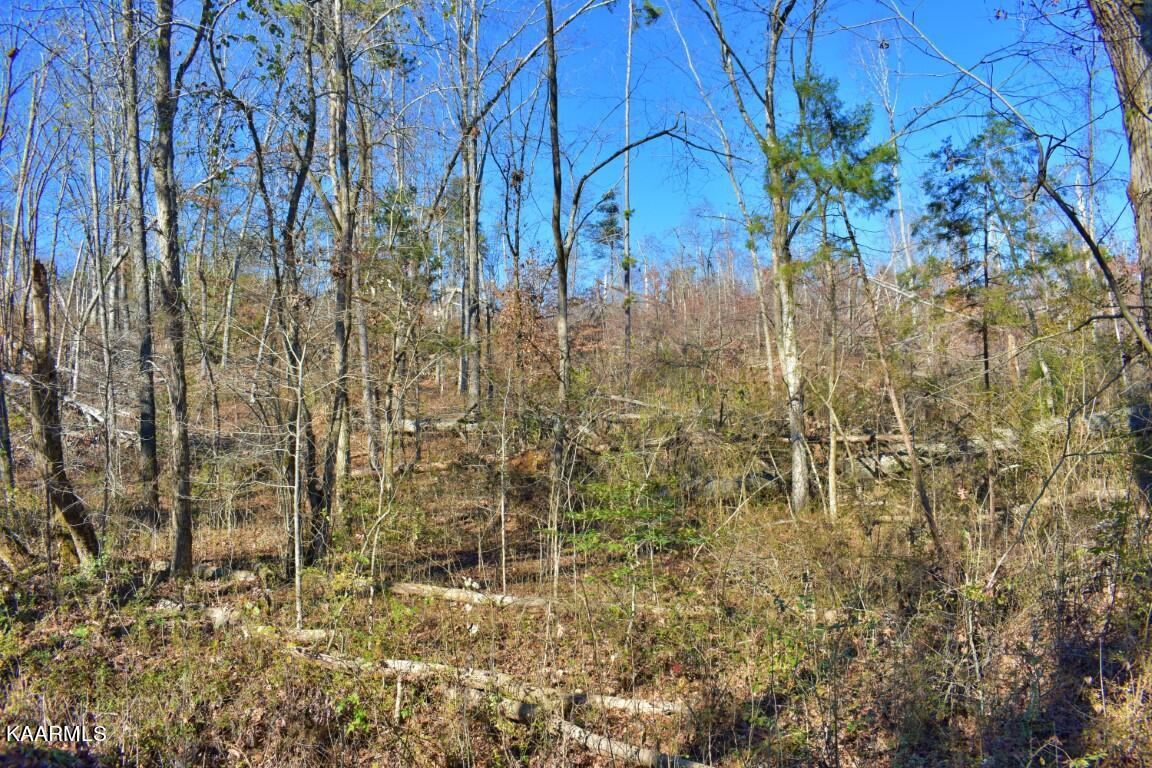 1-4 Ewing Road Spring City, TN 37381 - Photo 9 of 26 9
