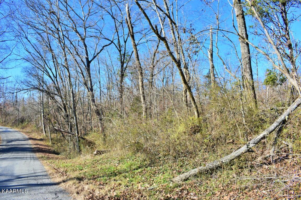 1-4 Ewing Road Spring City, TN 37381 - Photo 10 of 26 10