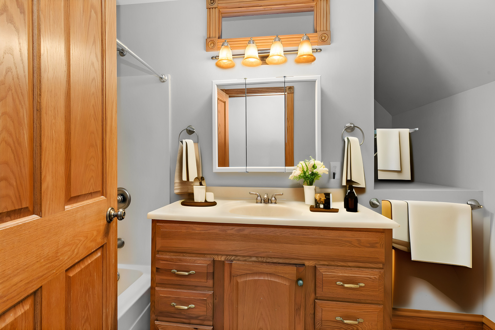 5N988 Meredith Road Maple Park, IL 60151 - Photo 19 of 38 a bathroom with a sink and a mirror
