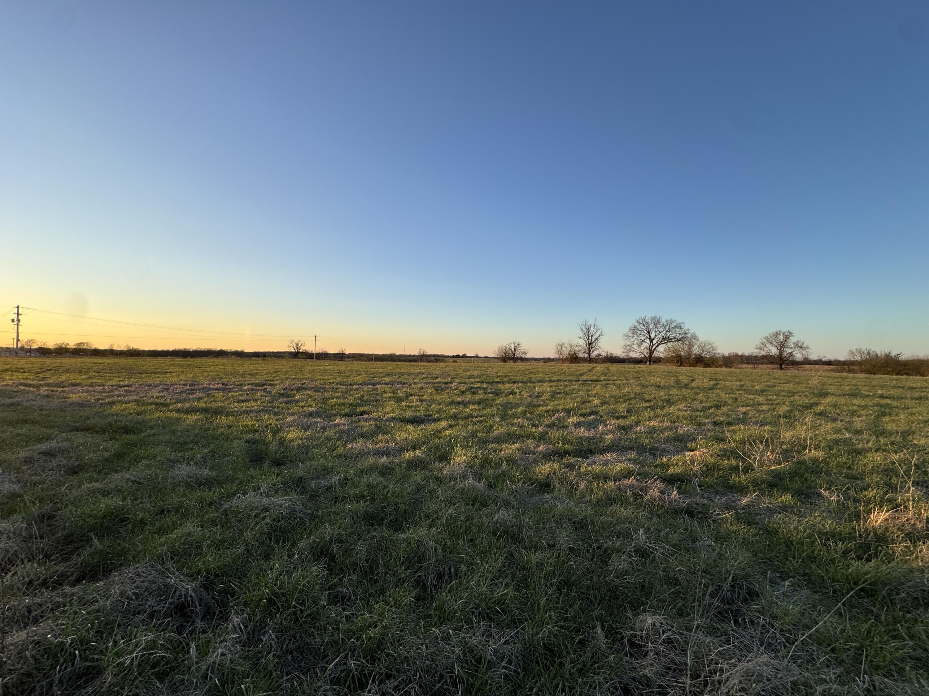 Lot 5 South 1325 Road Stockton, MO 65785 - Photo 5 of 7 IMG_4261