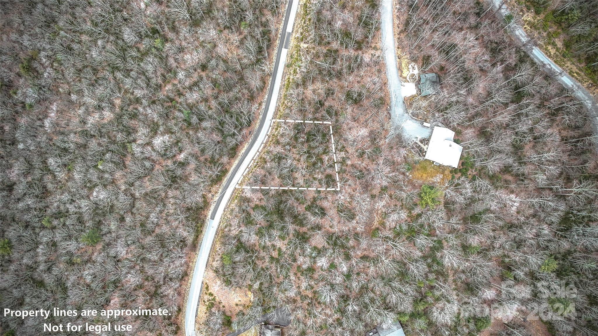 1121 Pine Ridge Road Beech Mountain, NC 28604 - Photo 4 of 18