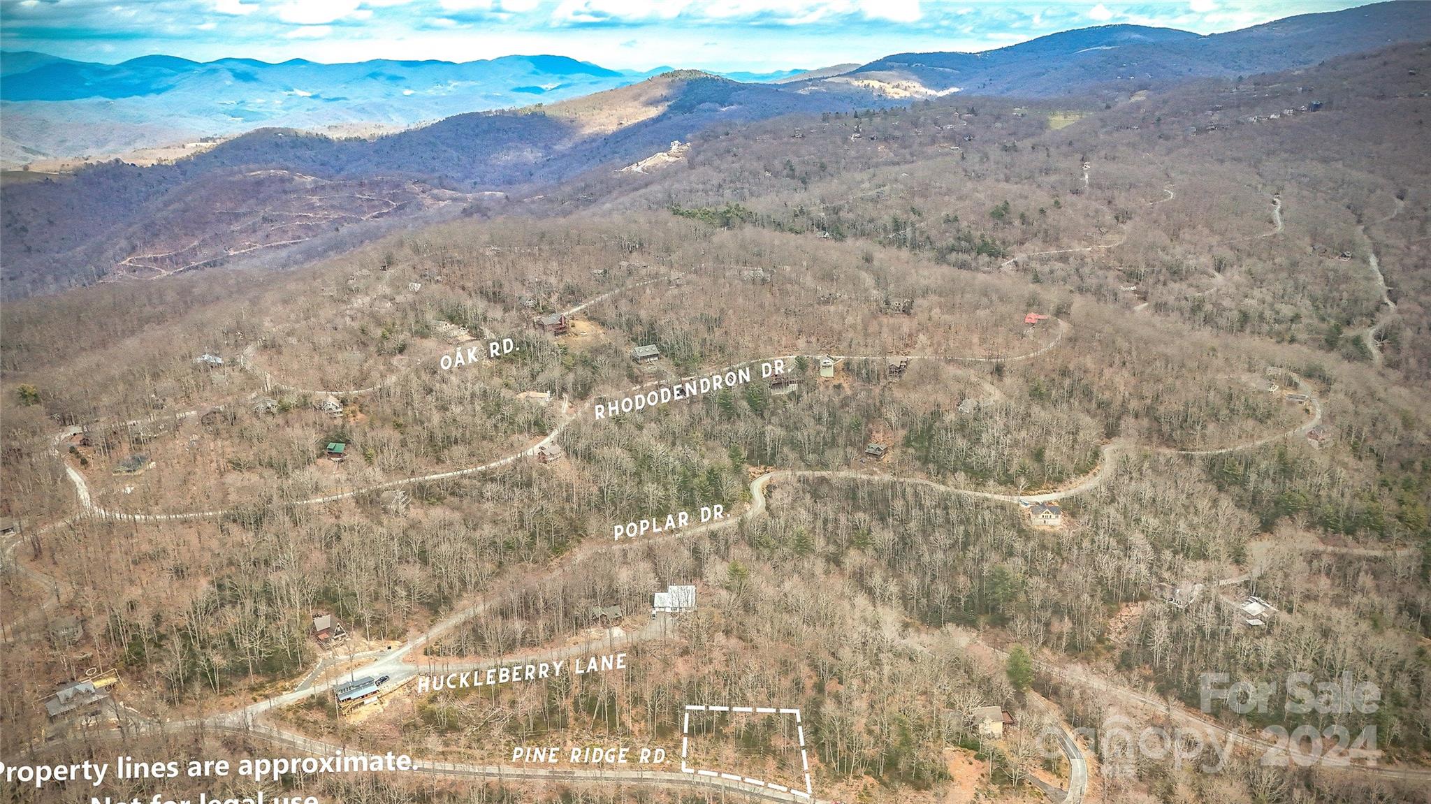 1121 Pine Ridge Road Beech Mountain, NC 28604 - Photo 6 of 18 a view of a dry yard with mountains in the background