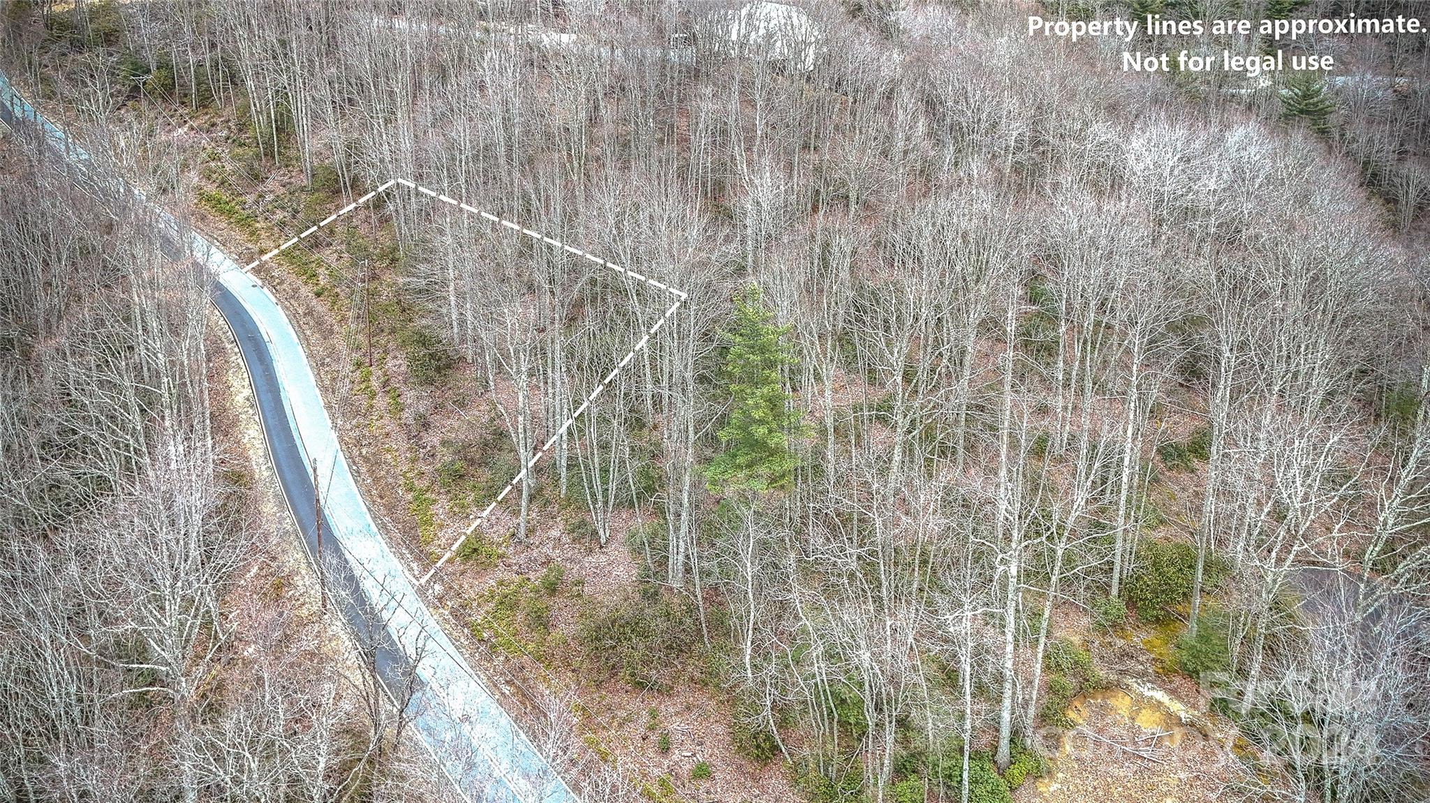 1121 Pine Ridge Road Beech Mountain, NC 28604 - Photo 9 of 18