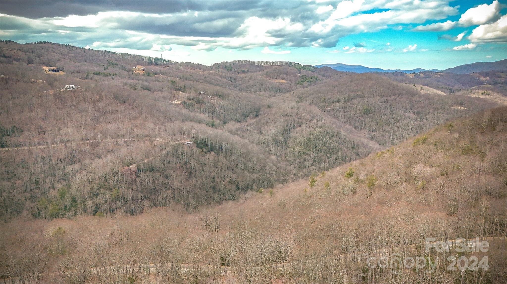 1121 Pine Ridge Road Beech Mountain, NC 28604 - Photo 10 of 18 a view of a dry yard with mountains in the background