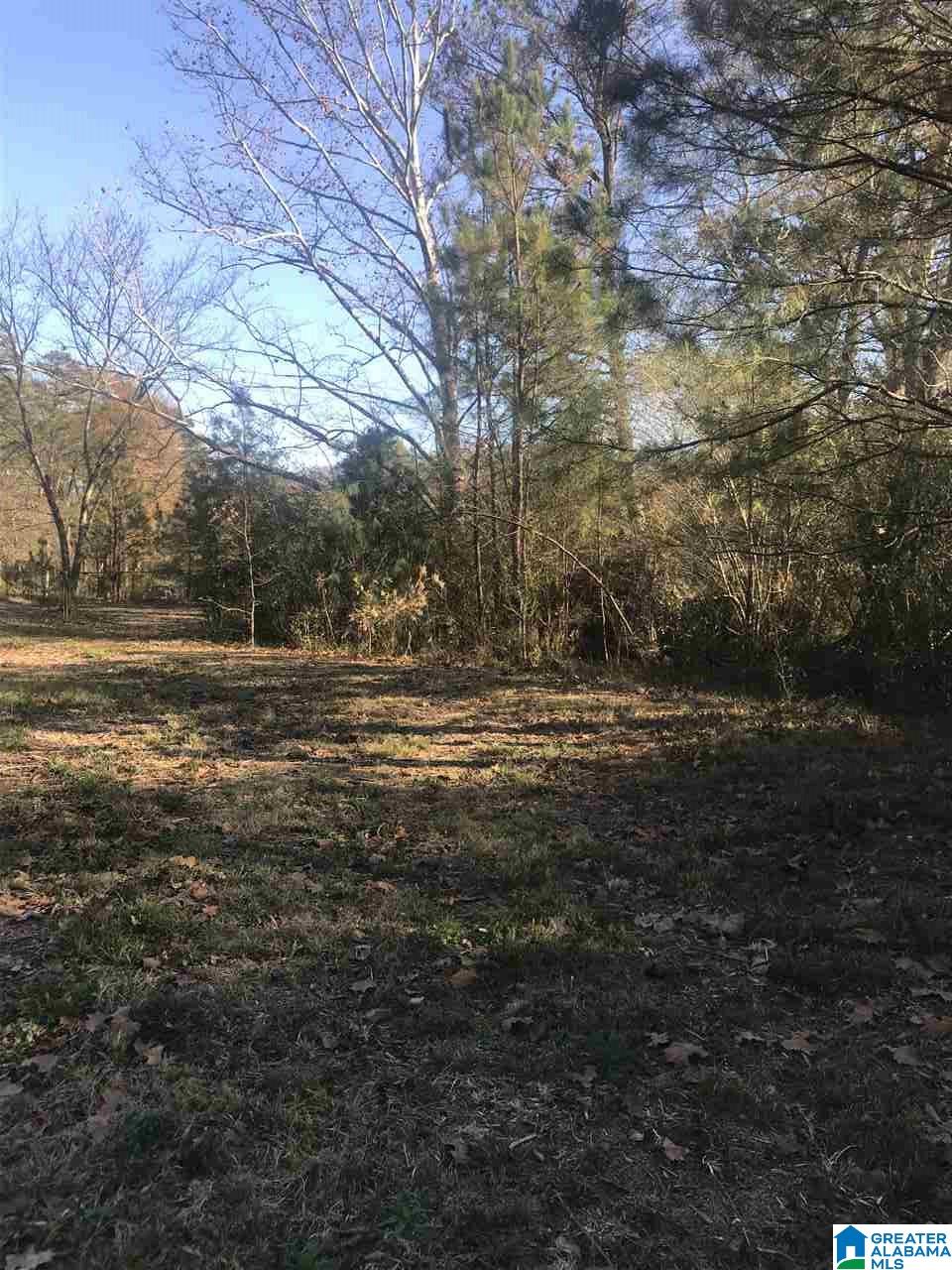 8128 Highway 75, Unit 2 Pinson, AL 35126 - Photo 6 of 8