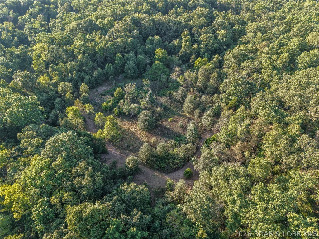 Tbd Hittridge Road Eldon, MO 65026 - Photo 11 of 19 3 acre clearing on the back side