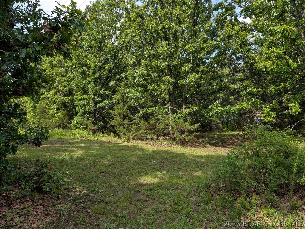 199 Spring Road Montreal, MO 65591 - Photo 25 of 57