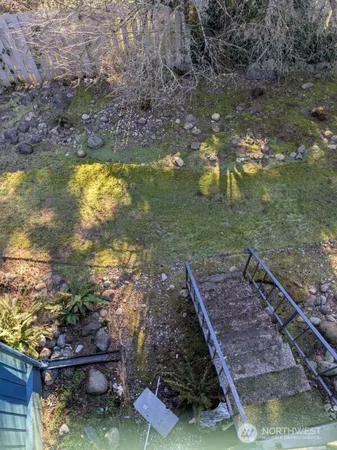 a view of a yard with plants
