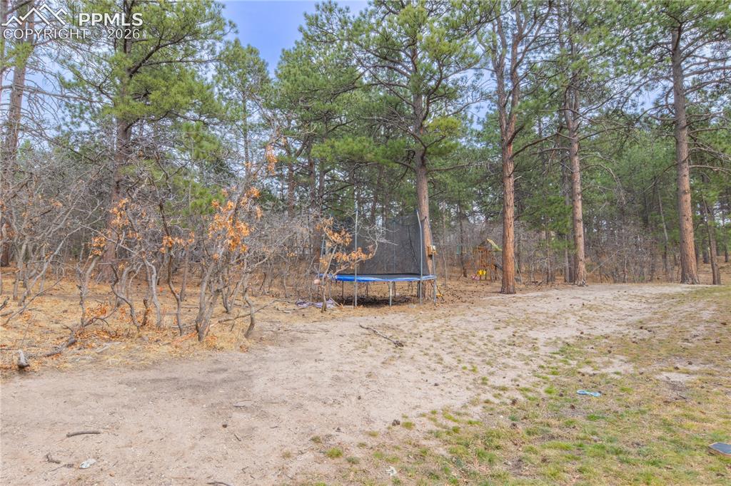 19795 Sleepy Hollow Road Monument, CO 80132 - Photo 47 of 50
