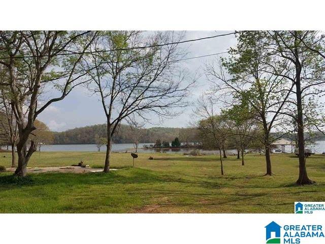 5400 Ranch Marina Road Pell City, AL 35128 - Photo 8 of 37