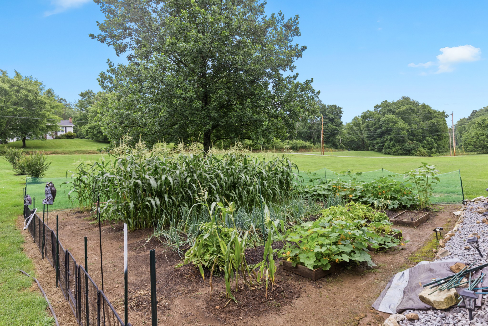 454 Campbell Hollow Road Bethpage, TN 37022 - Photo 53 of 57 a view of a garden with trees