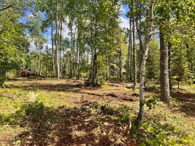 $390,000 | 37 County 37, Laporte, MN 56461