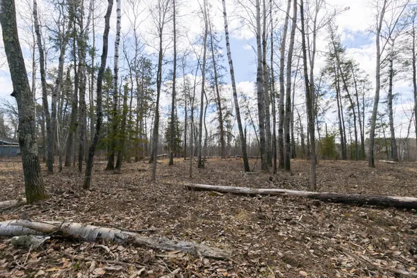 $390,000 | 37 County 37, Laporte, MN 56461