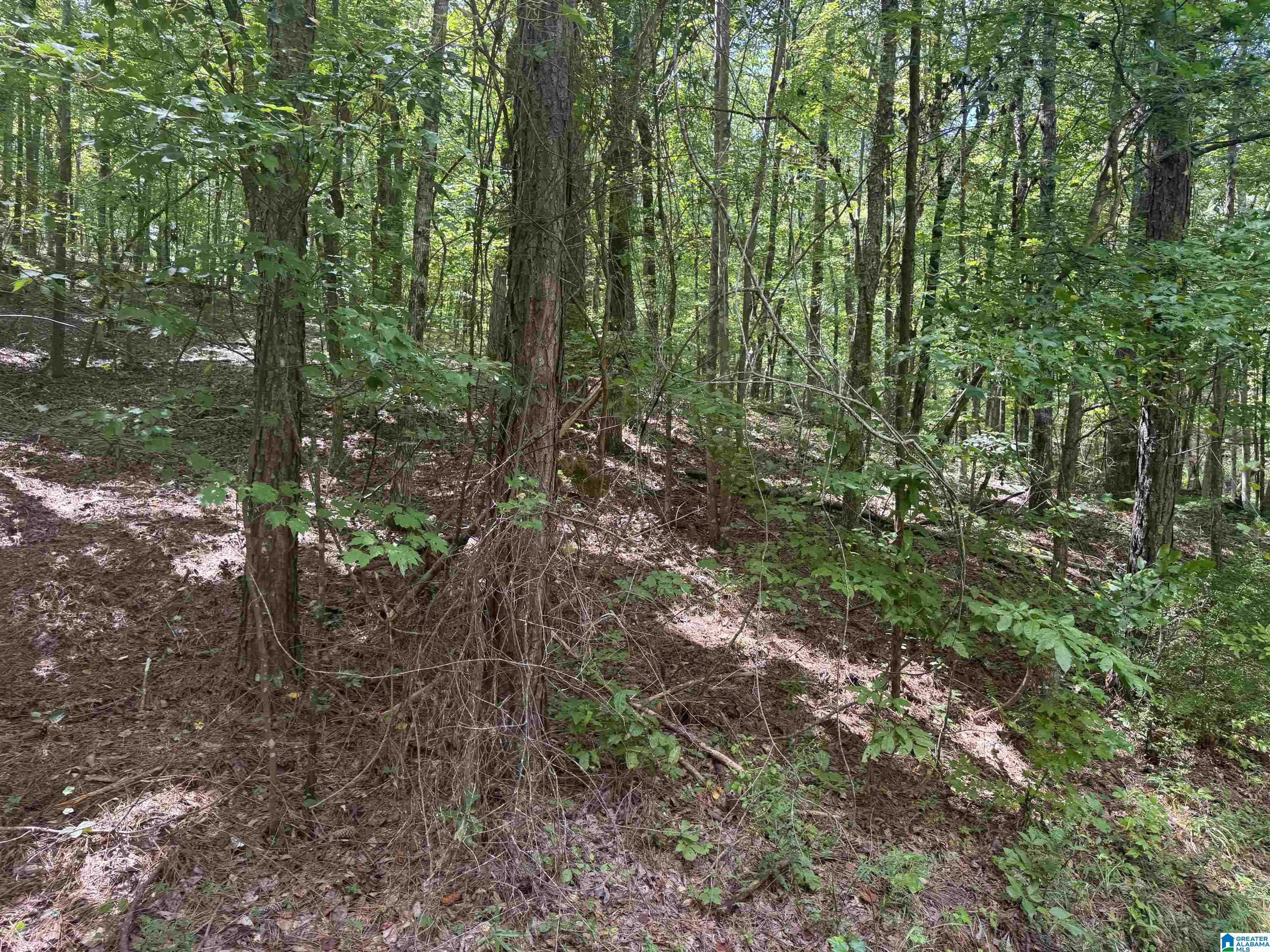 85 Mohawk Court, Unit 22 Ohatchee, AL 36271 - Photo 16 of 37