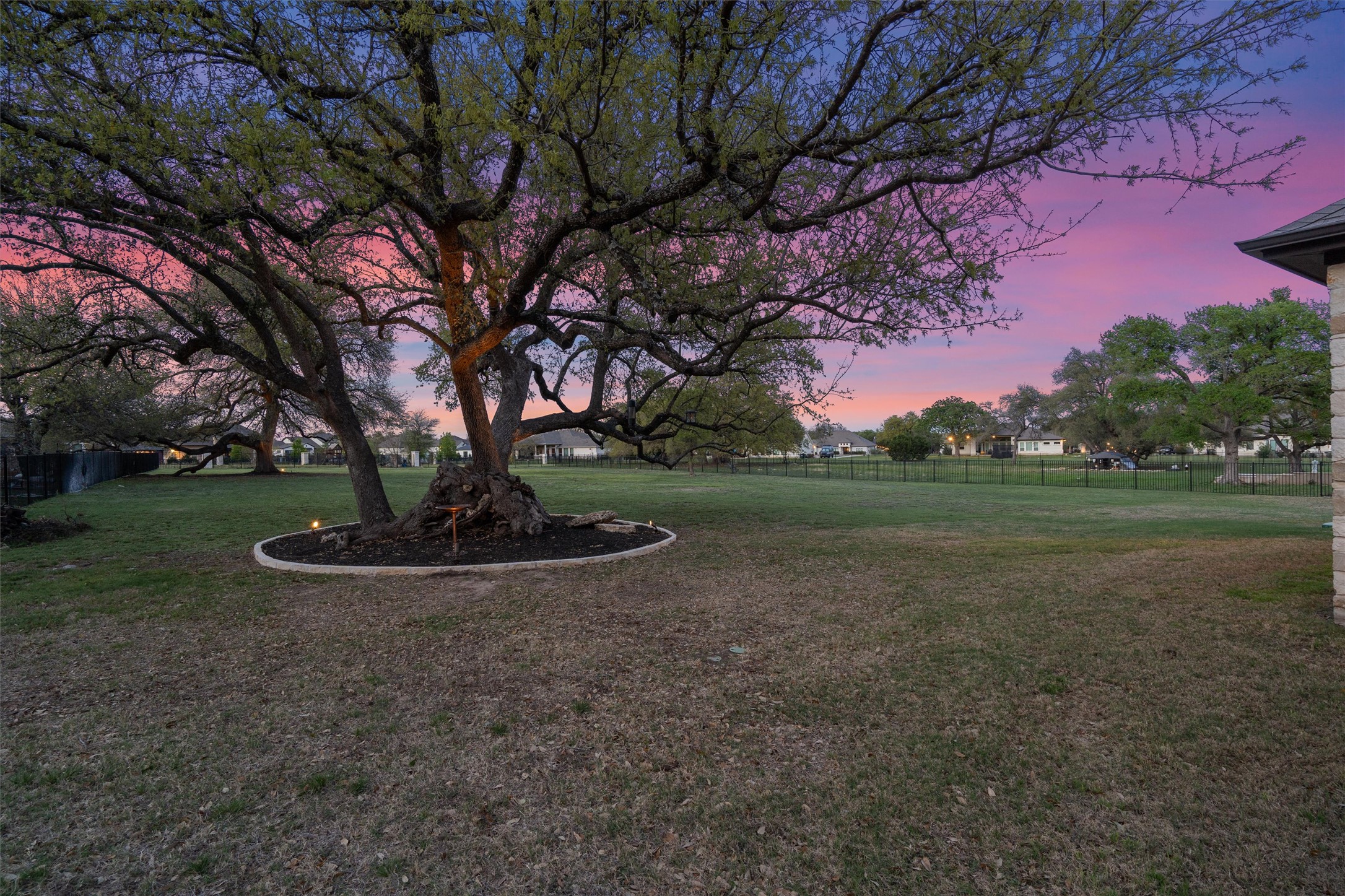 210 Miranda Way Georgetown, TX 78633 - Photo 36 of 40 The gorgeous mature trees, enhanced by landscape lighting, are breathtaking to look at.