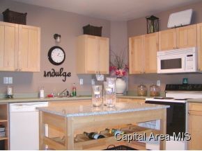 1711 E Keys Springfield, IL 62702 - Photo 9 of 19