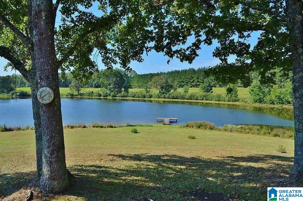565 Luker Lake Road Pell City, AL 35128 - Photo 14 of 50