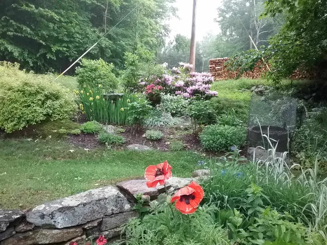 $259,000 | 1160 Bergrucken Lane, Stamford, VT 05350